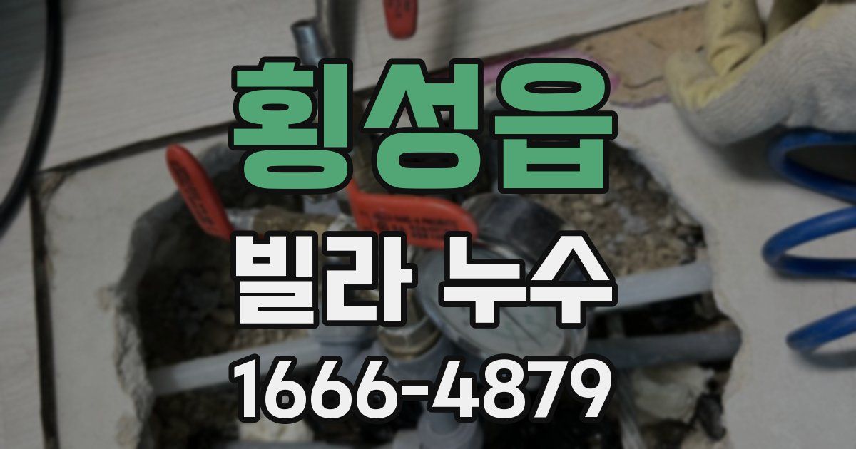 횡성읍 빌라 누수