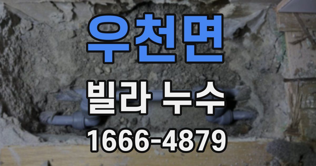 우천면 빌라 누수