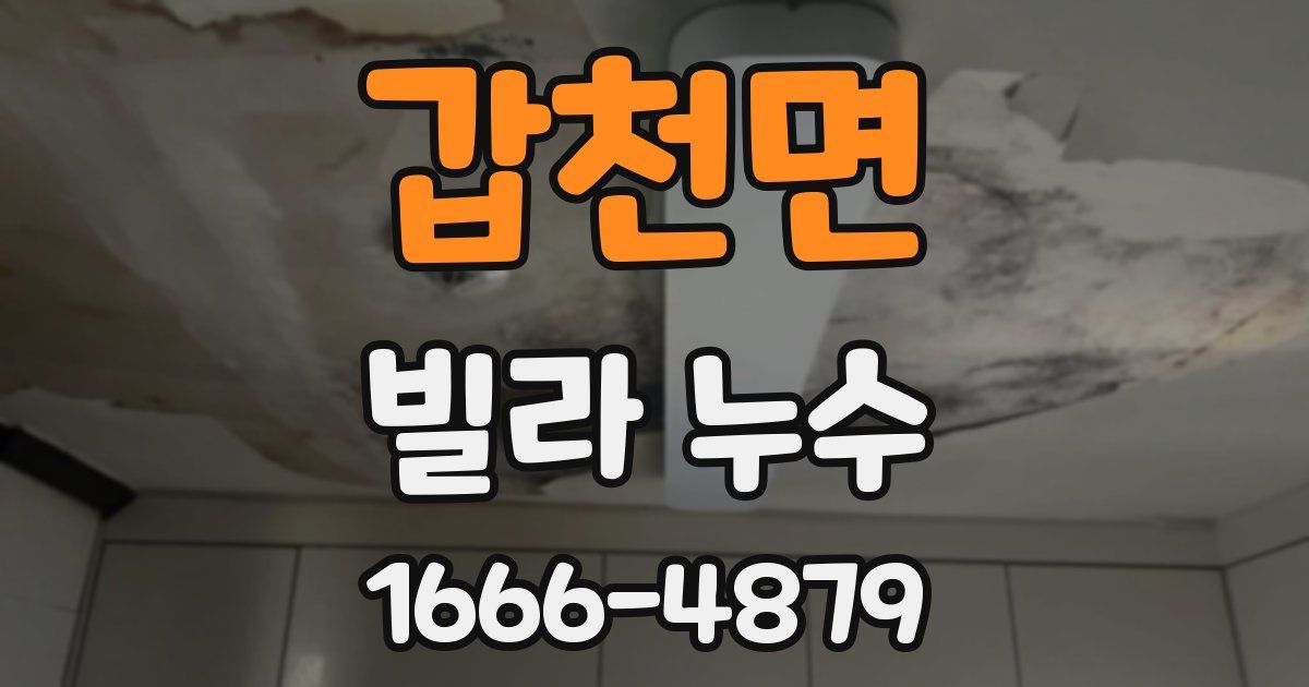 갑천면 빌라 누수