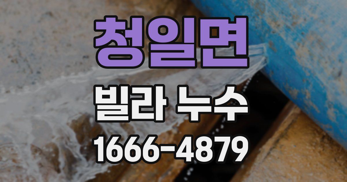 청일면 빌라 누수