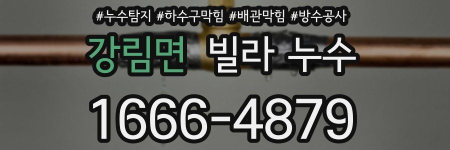 강림면 빌라 누수