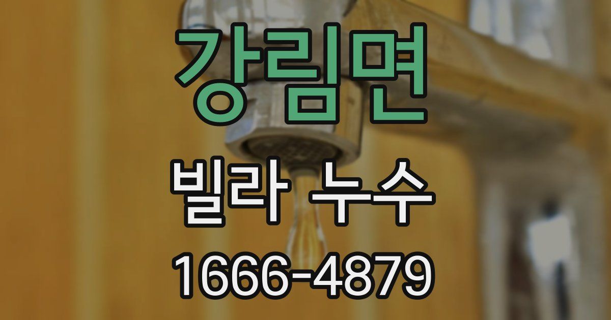 강림면 빌라 누수