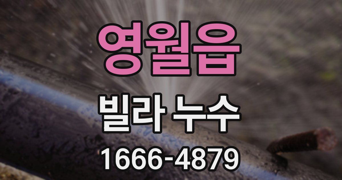 영월읍 빌라 누수