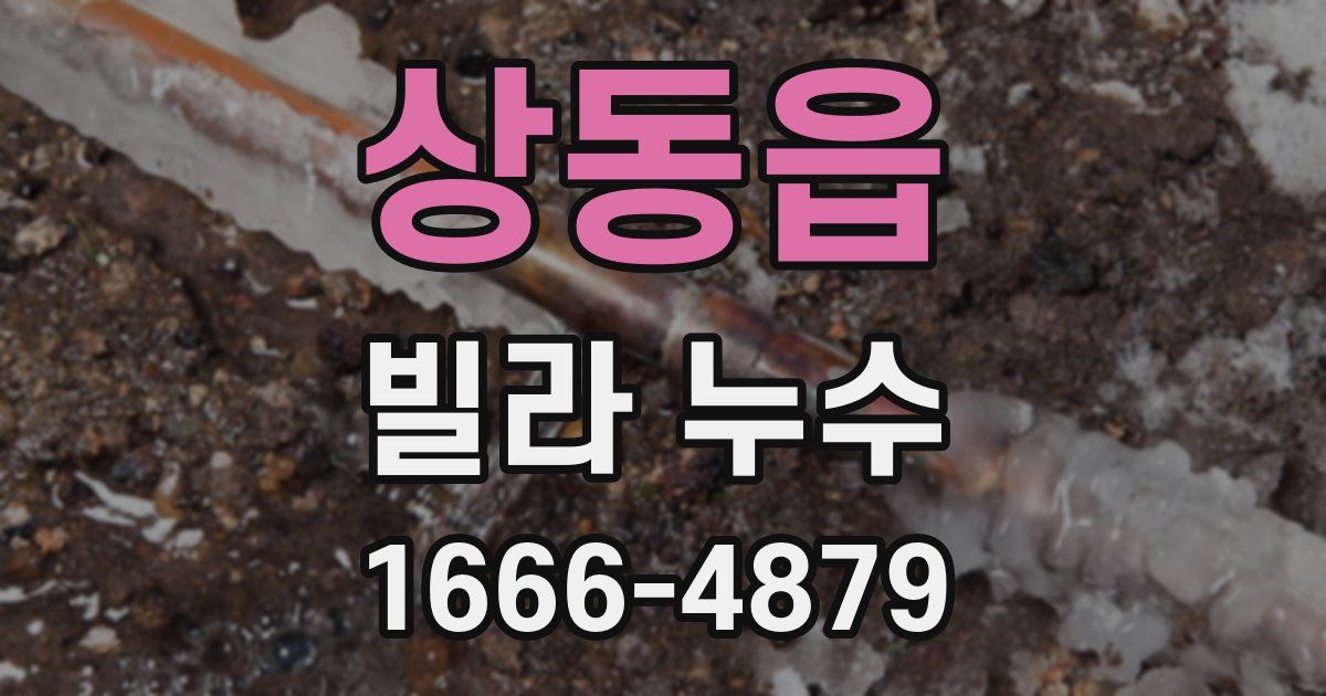 상동읍 빌라 누수