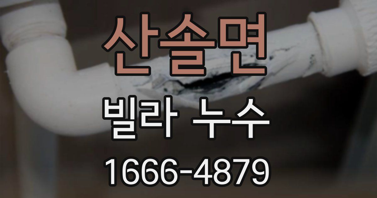 산솔면 빌라 누수