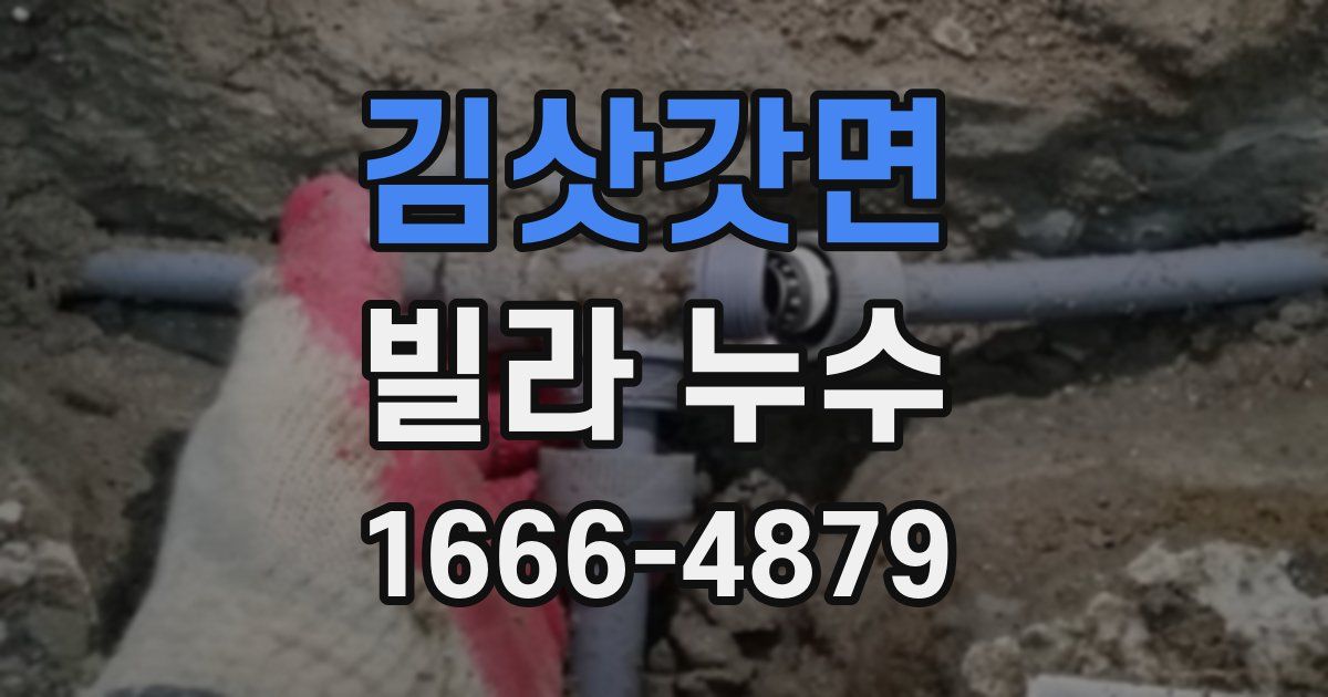 김삿갓면 빌라 누수