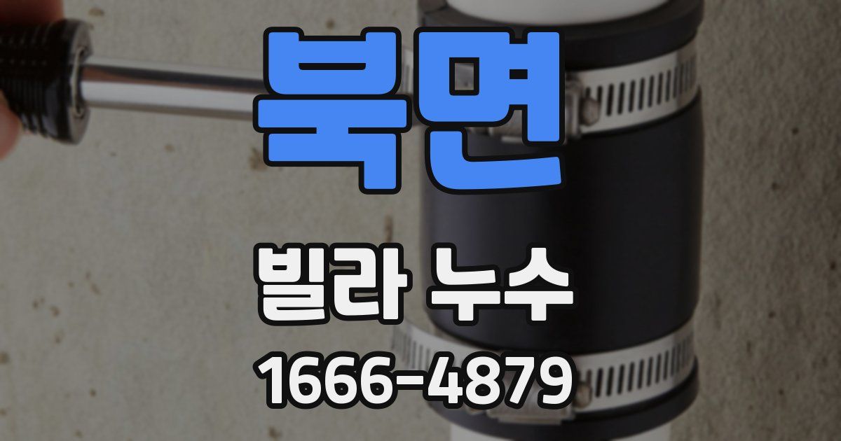 북면 빌라 누수