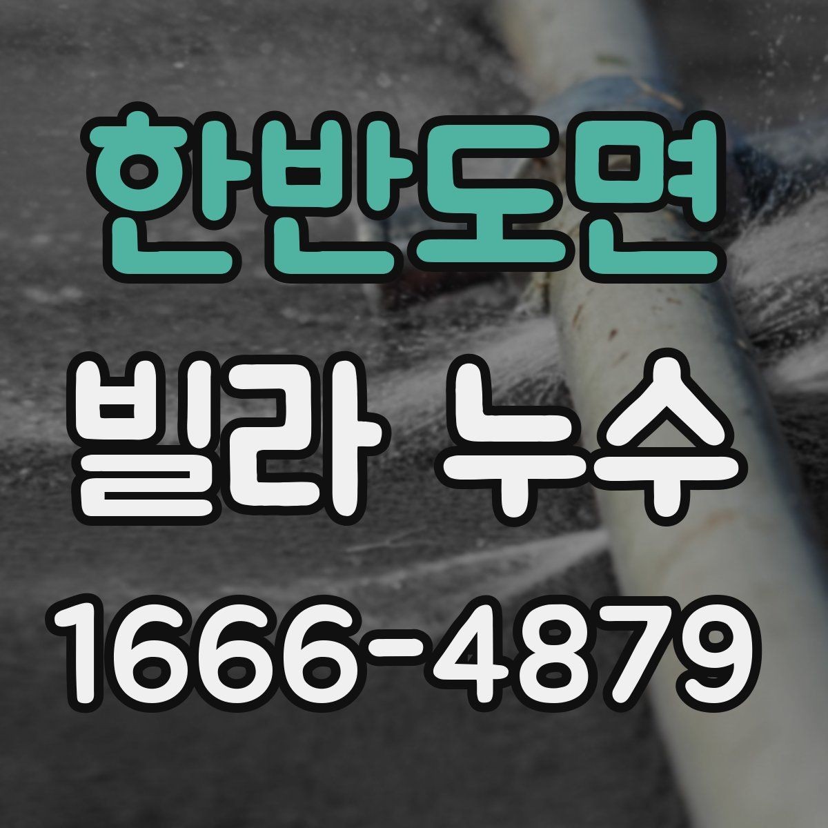 한반도면 빌라 누수 방수층 훼손 확인하기