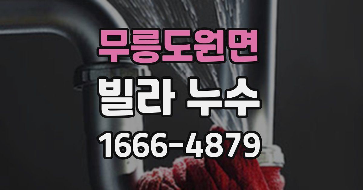 무릉도원면 빌라 누수
