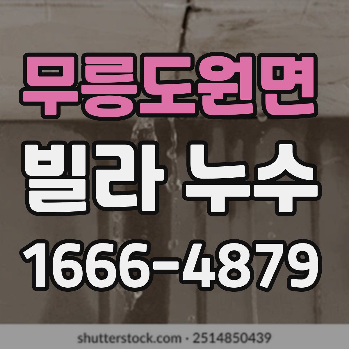 무릉도원면 빌라 누수