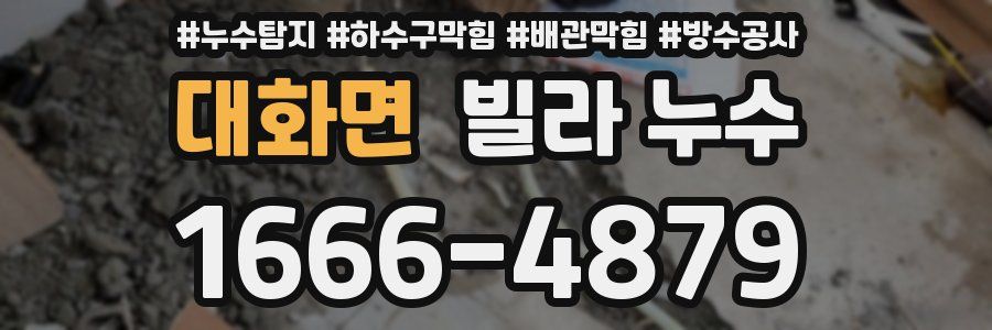 대화면 빌라 누수