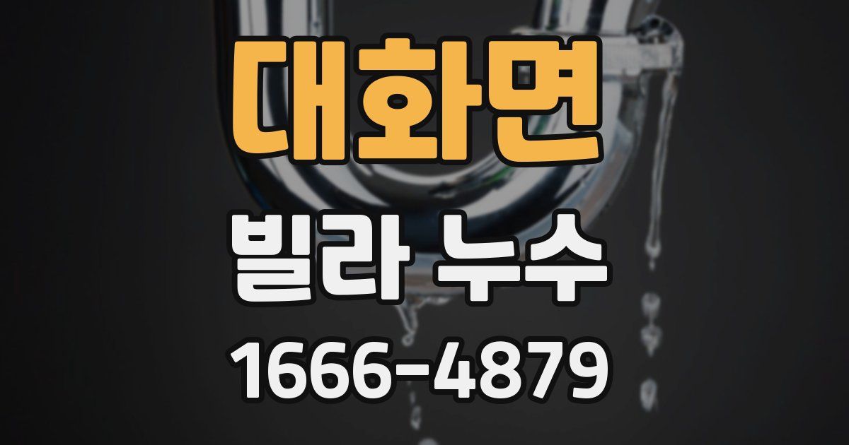 대화면 빌라 누수