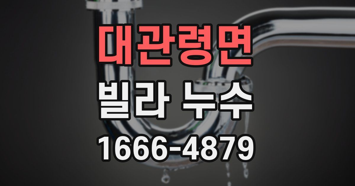 대관령면 빌라 누수