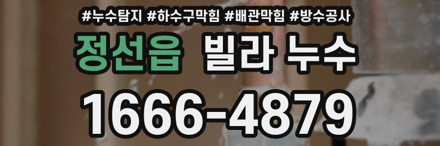 정선읍 빌라 누수