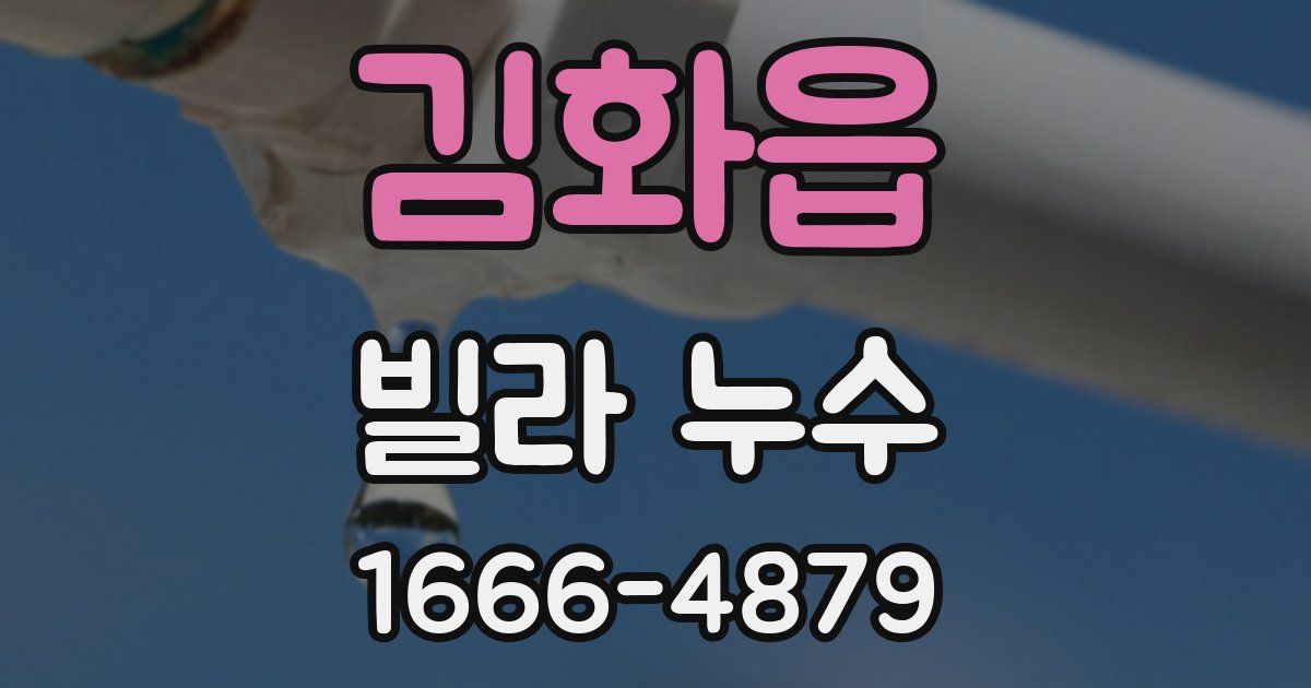 김화읍 빌라 누수