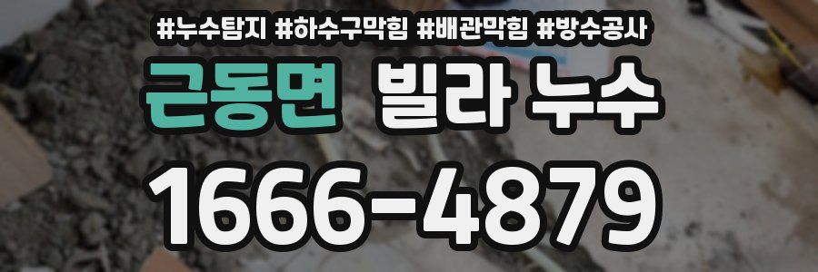 근동면 빌라 누수