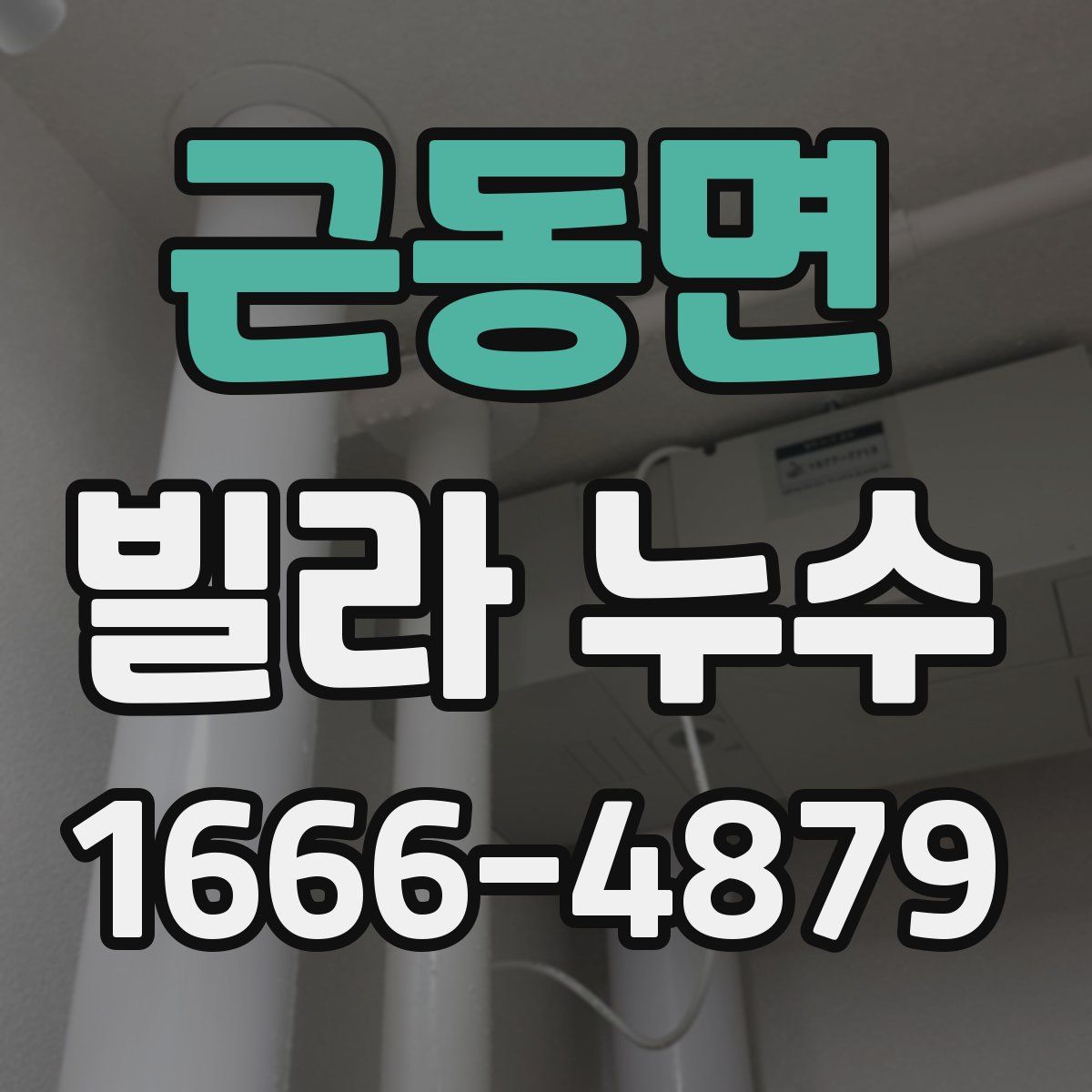 근동면 빌라 누수