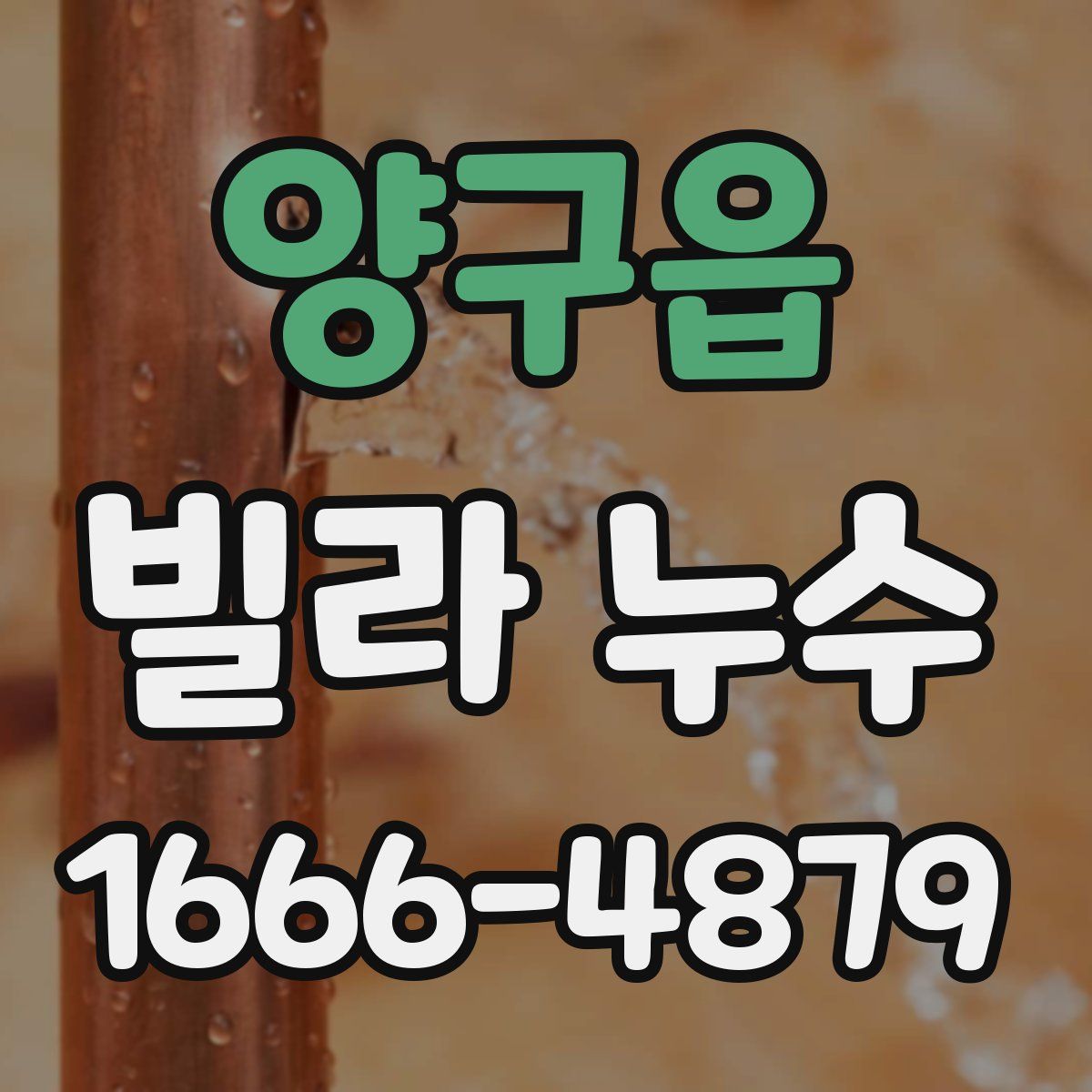 양구읍 빌라 누수