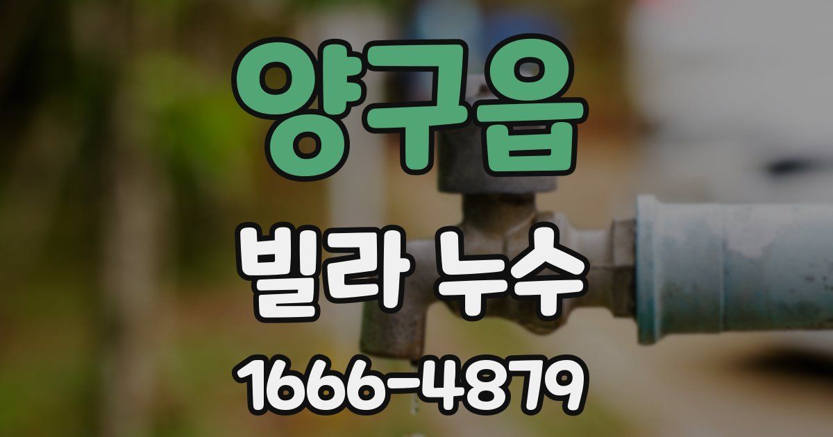 양구읍 빌라 누수