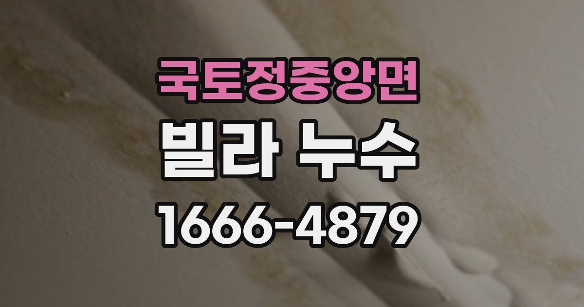 국토정중앙면 빌라 누수