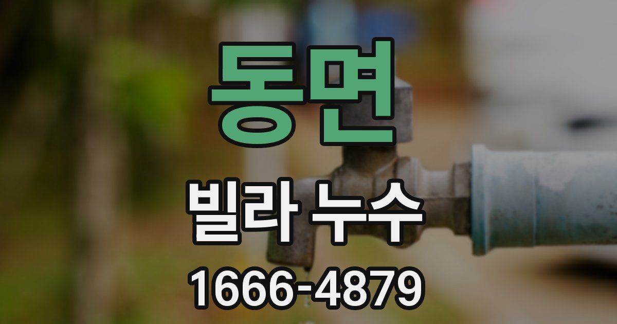 동면 빌라 누수