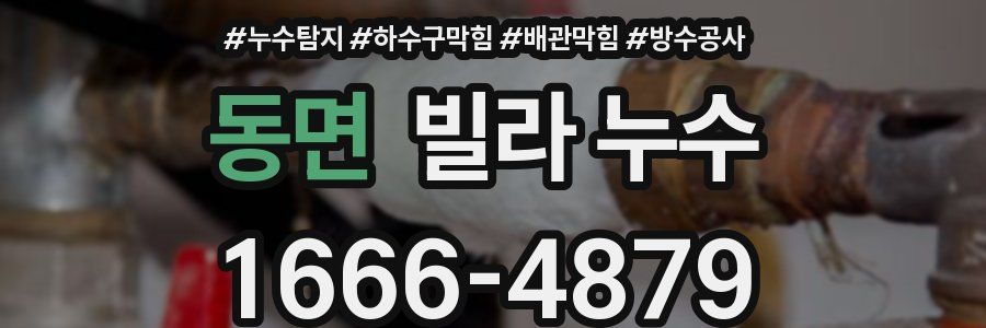 동면 빌라 누수