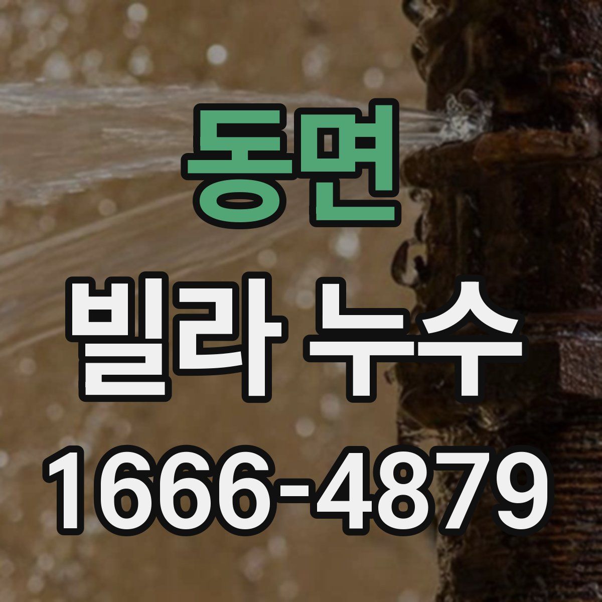 동면 빌라 누수