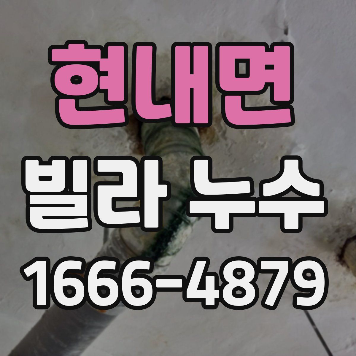 현내면 빌라 누수