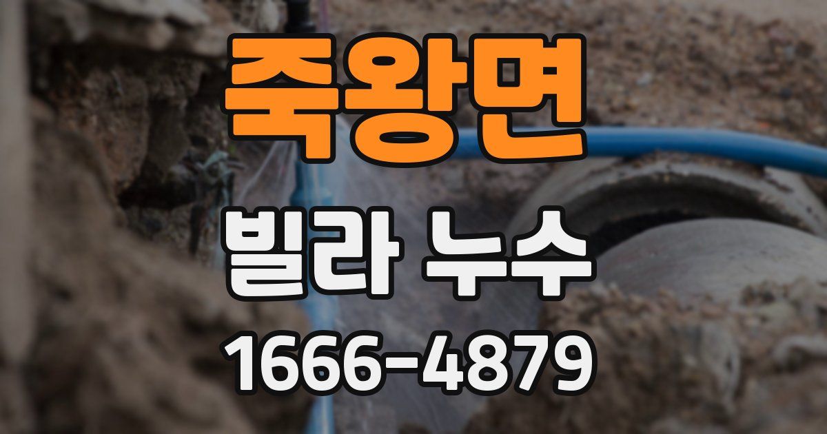 죽왕면 빌라 누수