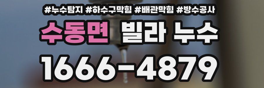 수동면 빌라 누수