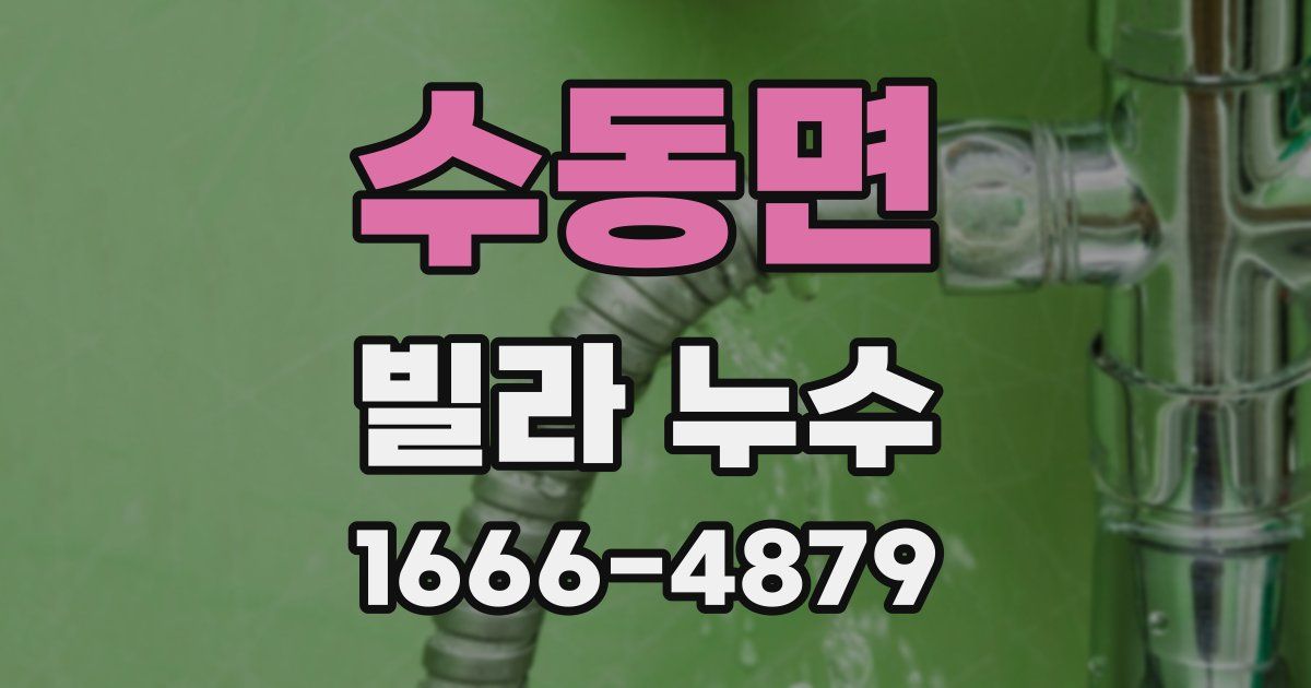 수동면 빌라 누수