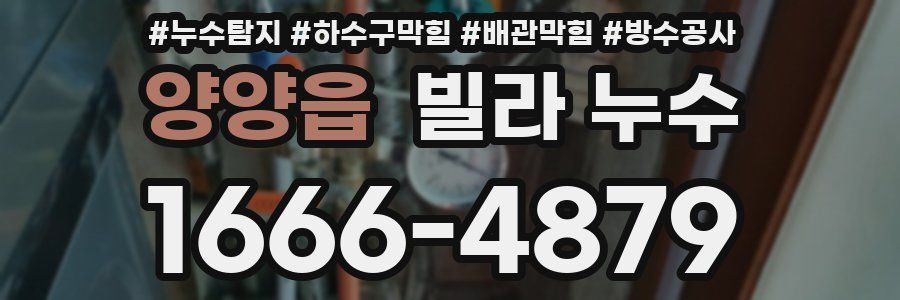 양양읍 빌라 누수