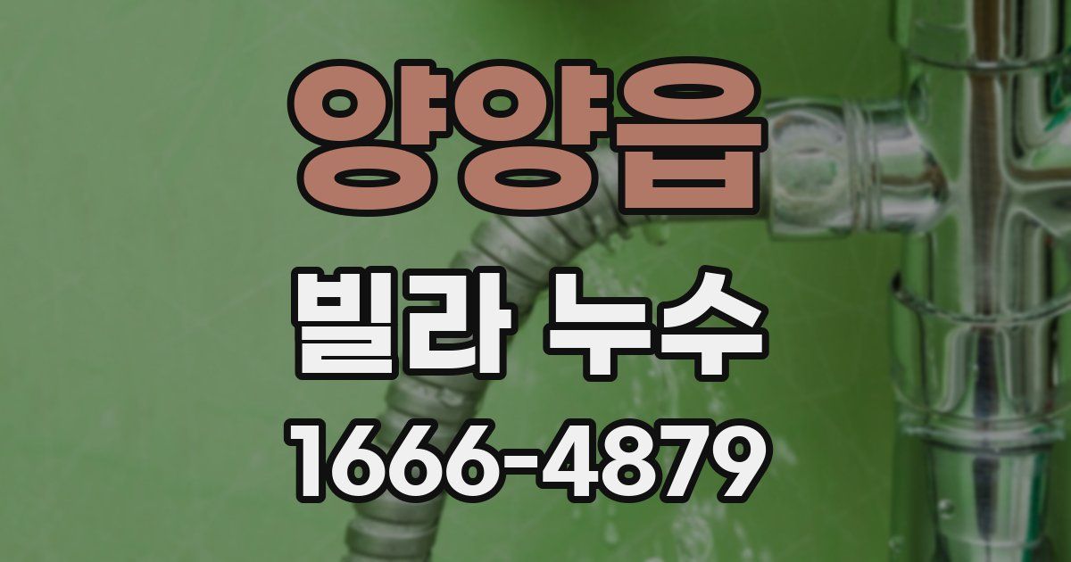 양양읍 빌라 누수