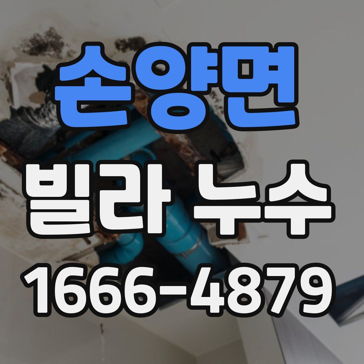 손양면 빌라 누수