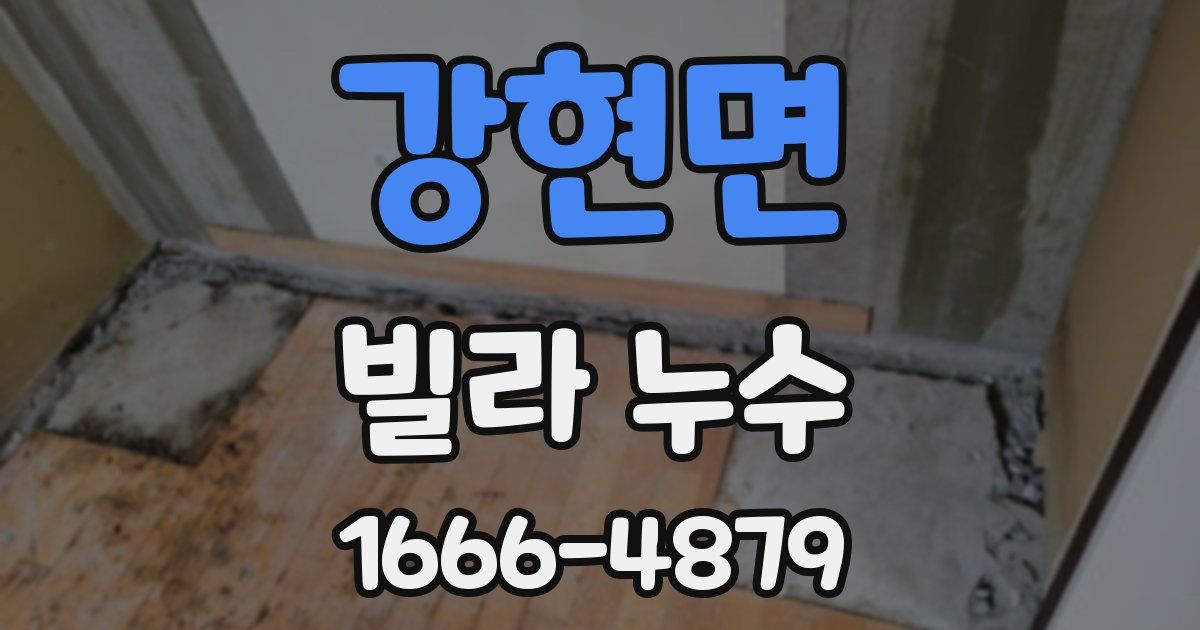 강현면 빌라 누수