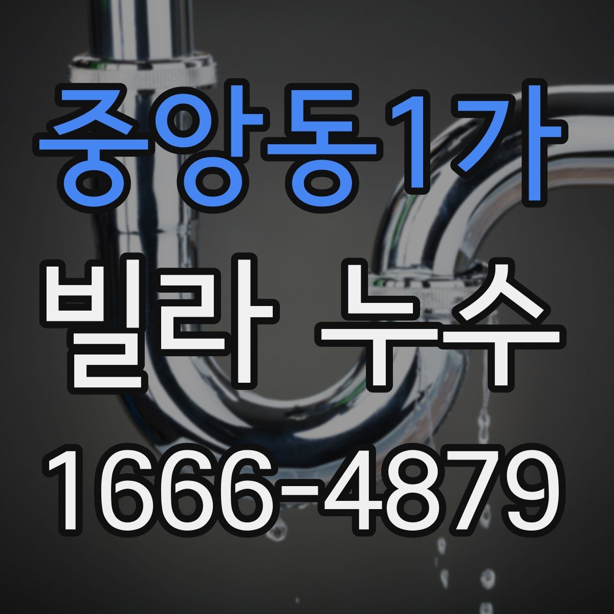 중앙동1가 빌라 누수