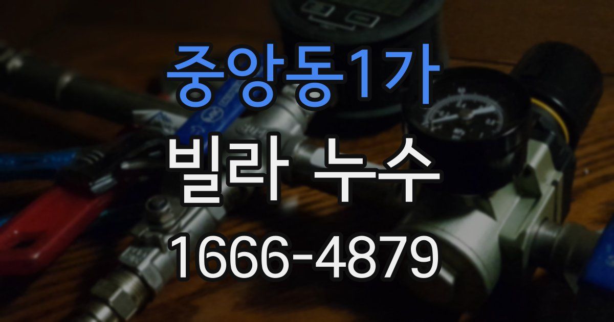 중앙동1가 빌라 누수