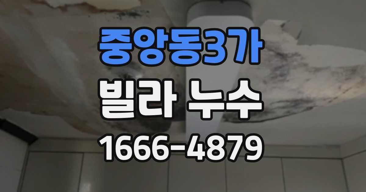 중앙동3가 빌라 누수
