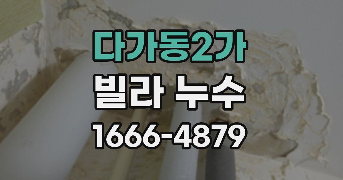 다가동2가 빌라 누수