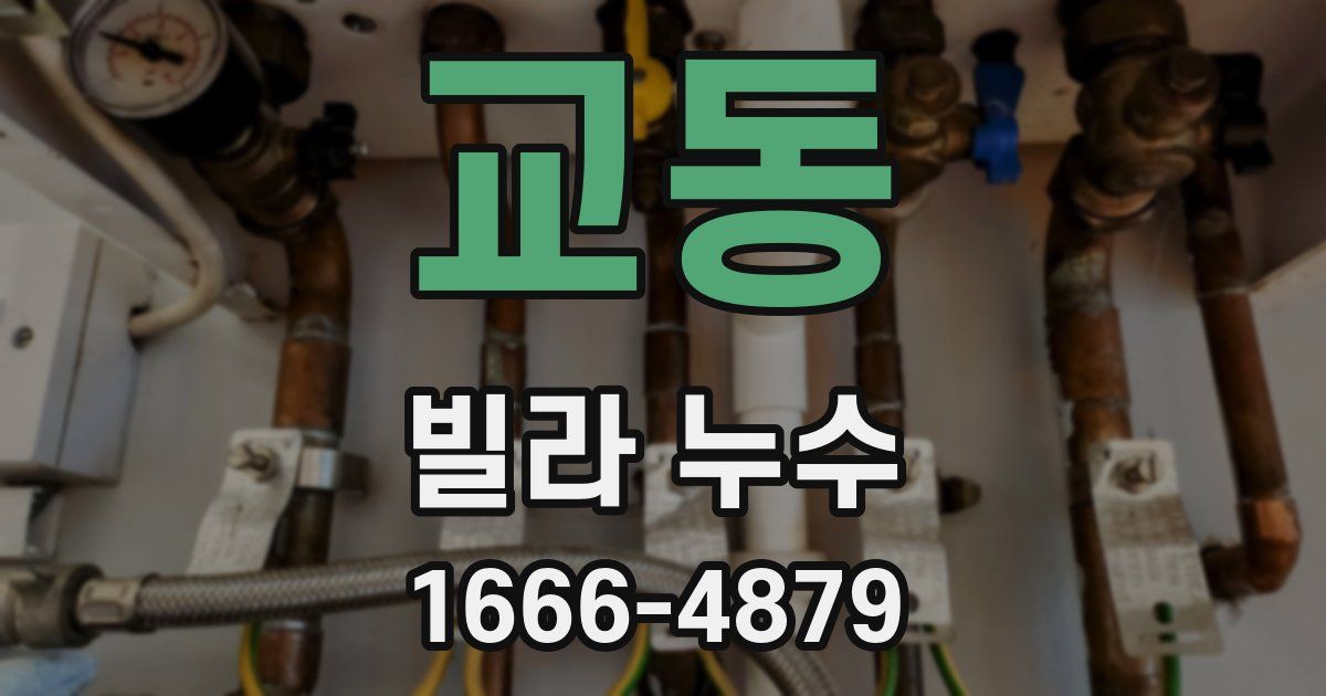 교동 빌라 누수