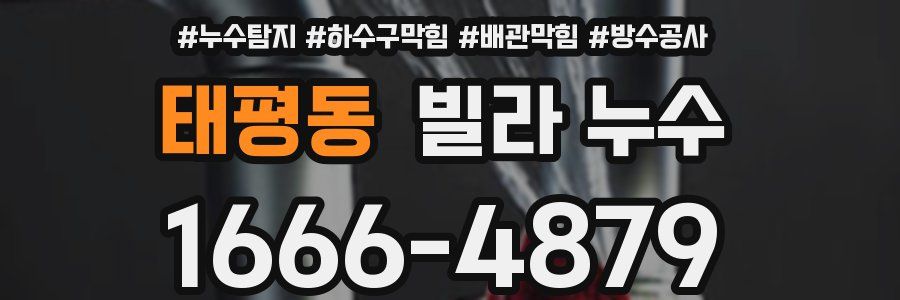 태평동 빌라 누수