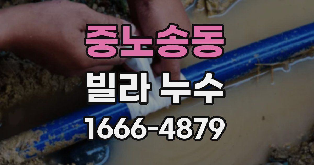 중노송동 빌라 누수