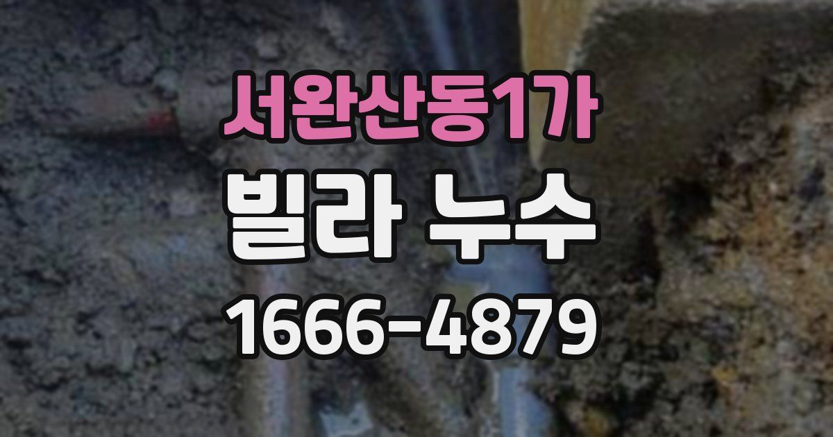서완산동1가 빌라 누수