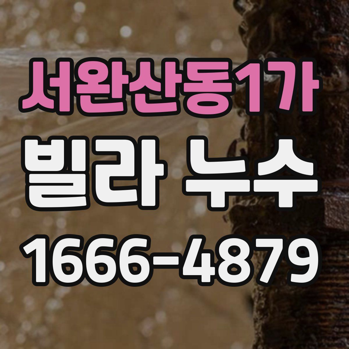 서완산동1가 빌라 누수