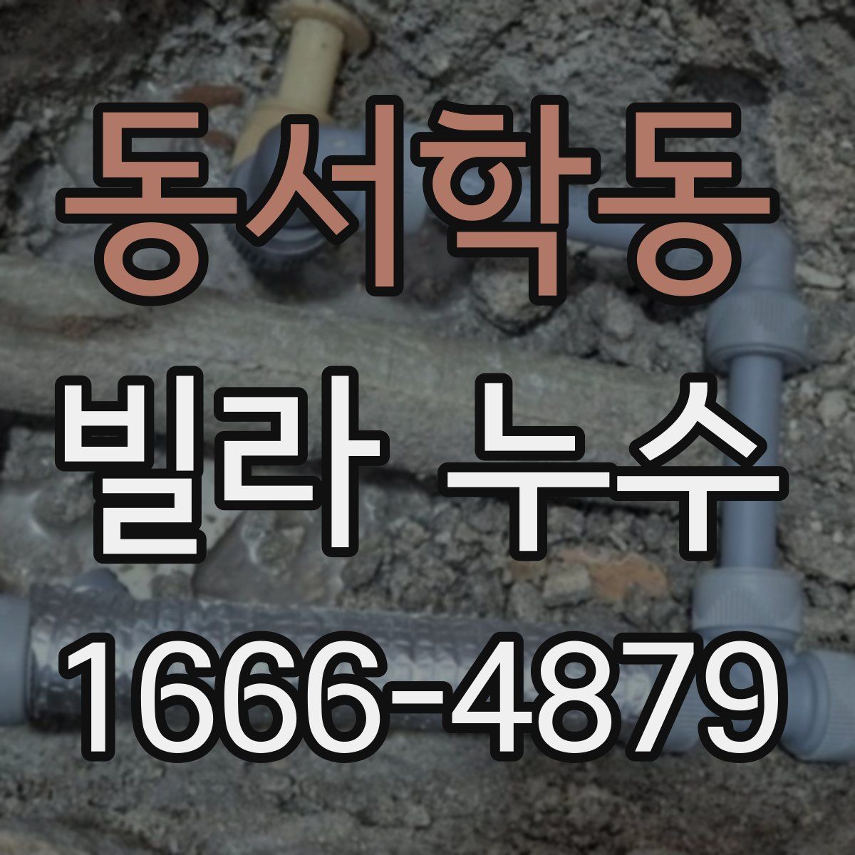 동서학동 빌라 누수