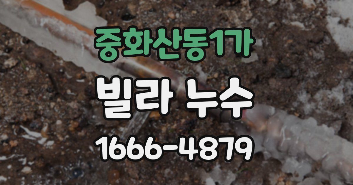 중화산동1가 빌라 누수
