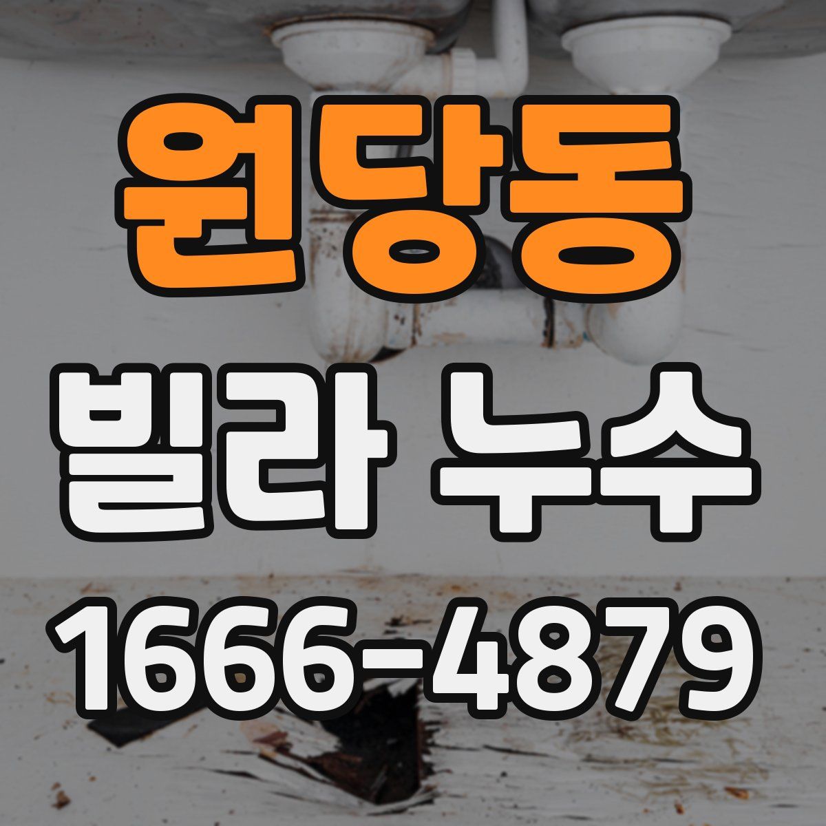 원당동 빌라 누수
