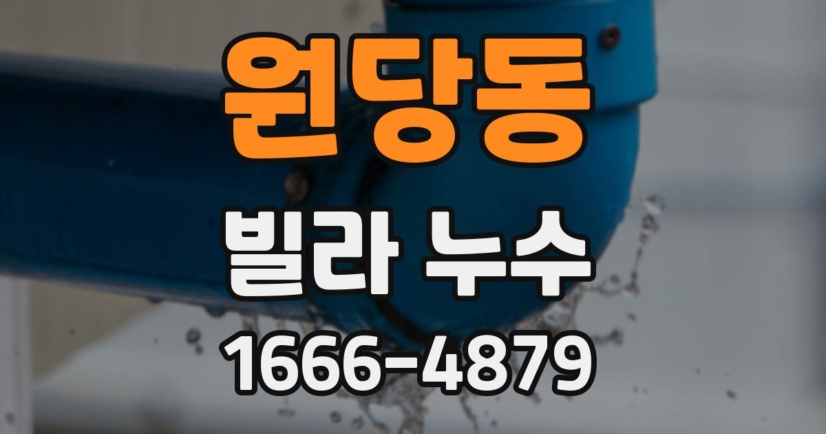 원당동 빌라 누수