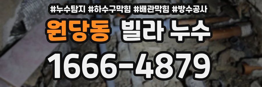 원당동 빌라 누수