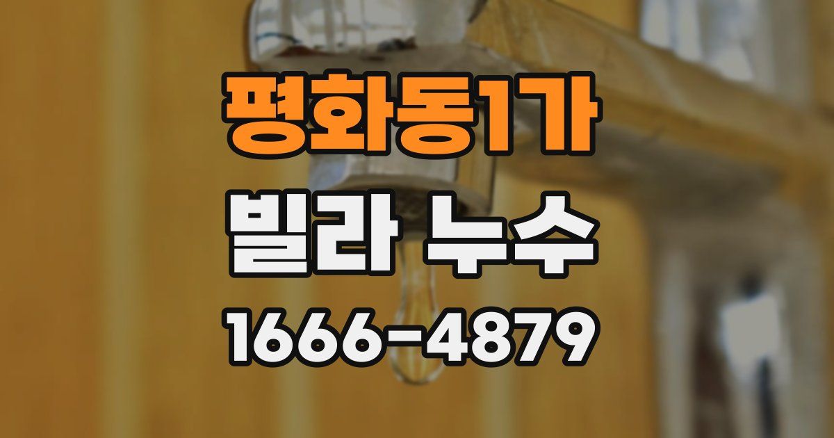 평화동1가 빌라 누수